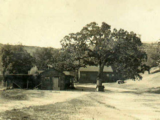 Circa
                                1911